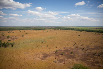 rural farming fields horizon grow plant