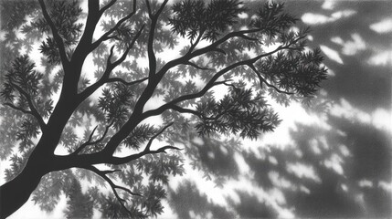Silhouetted tree branches creating intricate patterns against a light background.