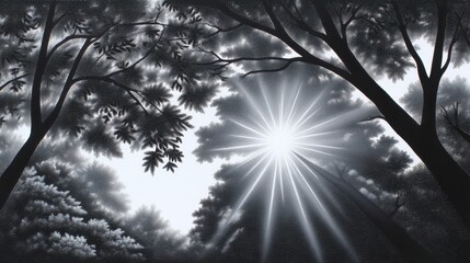 Sunlight streaming through the trees, creating a tranquil forest atmosphere.