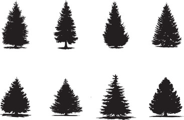 Silhouette Collection of Coniferous Trees for Christmas Trees