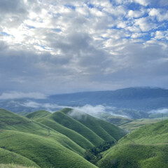Obraz premium Pictures of green grass fields with misty mountains 