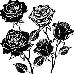 Black silhouette roses various stages of bloom isolated