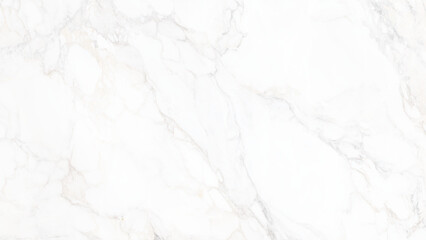 White marble natural pattern and Gray line vector art texture background illustration, White background paper with white marble texture, Marble seamless vector pattern