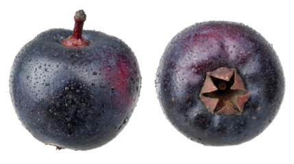 A striking macro photograph of a single black apple its glossy skin contrasted by a rustic brown spot set against a minimalist background symbolizing unique beauty and natural imperfection.