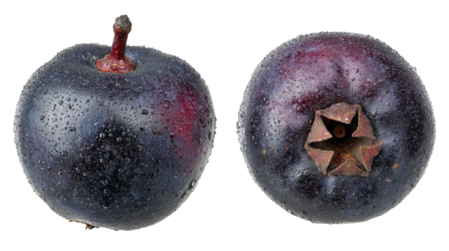 A striking macro photograph of a single black apple its glossy skin contrasted by a rustic brown spot set against a minimalist background symbolizing unique beauty and natural imperfection.