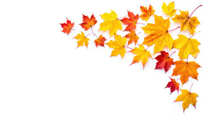 Colorful maple leaves frame a white background with a vibrant autumn design