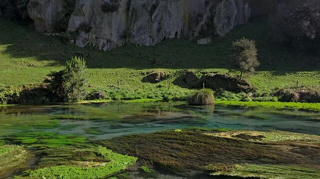 Beautiful scenery at Putaruru Blue Spring at New Zealand 