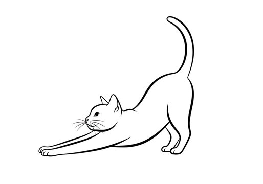 Elegant line drawing of a cat stretching its body gracefully