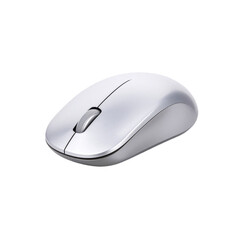 Silver Wireless Computer Mouse