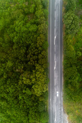Aerial drone view of a car on a forest road