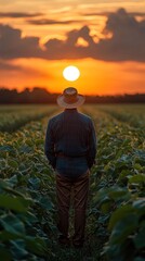 Fototapeta premium Farmer Silhouetted at Sunset in a Field