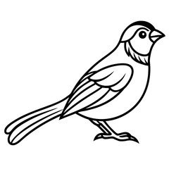 Obraz premium Stylized black and white illustration of a small bird