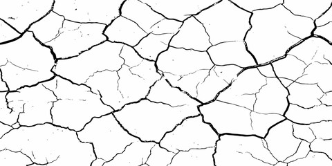 Organic cracked earth texture with natural fracture lines in bold monochrome, ideal for geological themes, decay concepts, or rustic background elements.