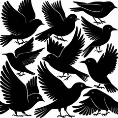 Obraz premium Collection of black bird silhouettes in various flying and perching poses isolated on white background silhouette