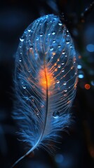 Enchanted Feather: A Symphony of Blue and Orange Hues
