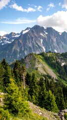 Obraz premium Mountain vista with lush forest