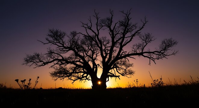 A Solitary Tree's Intricate Silhouette with a Sunburst Heart at Twilight - Powered by Adobe