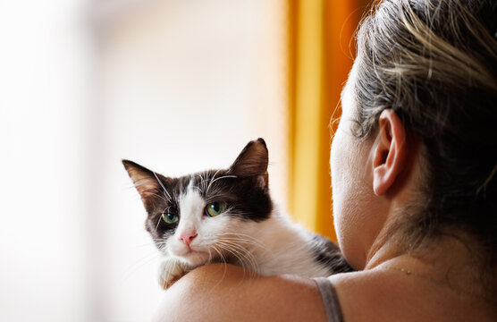 Black and white cat looking over woman's shoulder 