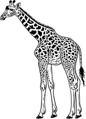Silhouette of a giraffe in vector format with a plain white background.