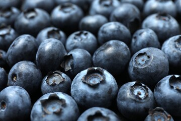 Fresh blueberries as background, close up