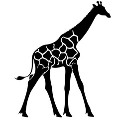 silhouette of a giraffe on white background