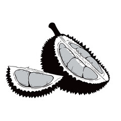 vector black and white silhouette of durian fruit on a white background