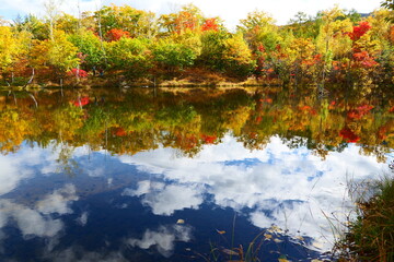 秋の乗鞍高原。松本、長野、日本。10月中旬。