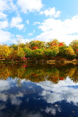 秋の乗鞍高原。松本、長野、日本。10月中旬。