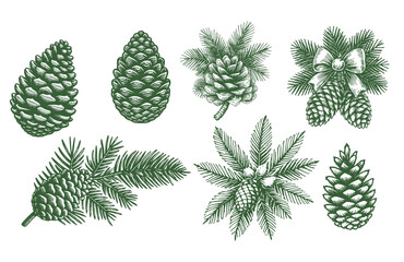 Pine Cone Set Christmas Vintage Sketch Landscape Holiday Xmas Card Engraving Frora Engraver Retro Winter Vector Print Depicting Detailed Cones And Branches