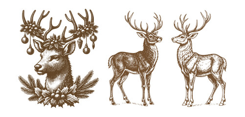 Christmas Deer Vintage Sketch Holiday Xmas Engraving Engraver Retro Vector Print Set Detailed Illustration