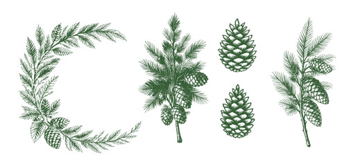 Pine Cone Set Christmas Vintage Sketch Landscape Holiday Xmas Card Engraving Frora Engraver Retro Winter Vector Print Depicting Detailed Cones And Branches