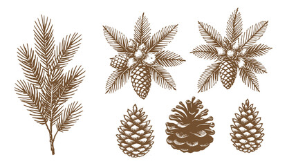Pine Cone Set Christmas Vintage Sketch Landscape Holiday Xmas Card Engraving Frora Engraver Retro Winter Vector Print Depicting Detailed Cones And Branches
