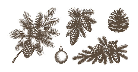 Pine Cone Set Christmas Vintage Sketch Landscape Holiday Xmas Card Engraving Frora Engraver Retro Winter Vector Print Depicting Detailed Cones And Branches
