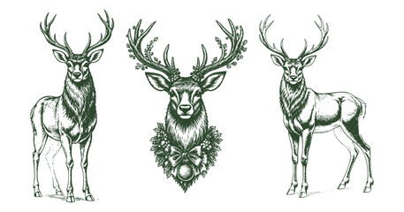 Christmas Deer Vintage Sketch Holiday Xmas Engraving Engraver Retro Vector Print Set Detailed Illustration