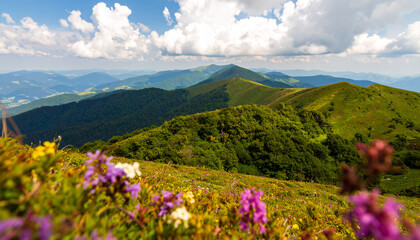 Fototapeta premium A breathtaking mountain landscape with rolling green hills, wildflower-filled meadows in the foreground, and a brilliant blue sky dotted with fluffy white clouds