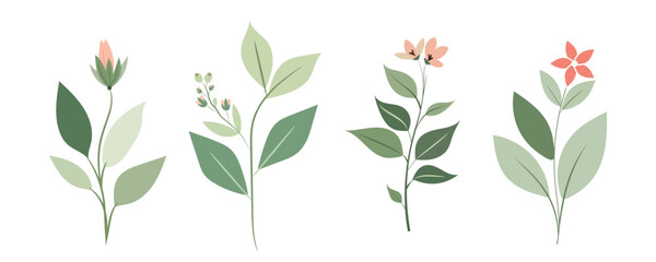 Wheat ears vector illustration isolated on a white background