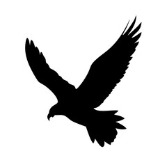 vector illustration of an eagle