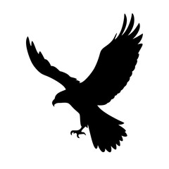 eagle on white background