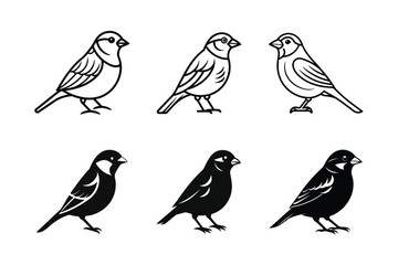 Sparrow line art and silhouette vector icon set on white background