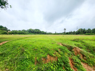 Vast green meadow stretches under a dramatic overcast sky, promising adventure and natural beauty for your next project.