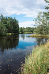 The surface of a pond reflecting a cloudy sky on a summer day, with banks covered in reeds, vertical photo