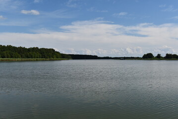 Calm lake surrounded by lush green trees under a blue sky  