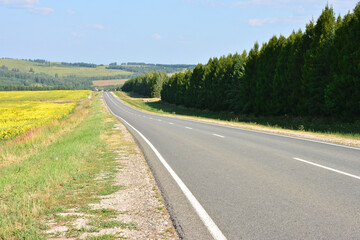 Scenic Road Through Fields and Forest on a Sunny Day