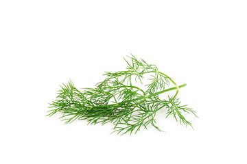 Dill isolated on white background. Fresh organic greens. Dill plantation. Dill leaves. Bunch of spring young dill. Vitamins. Fiber. Aromatic culinary spice.