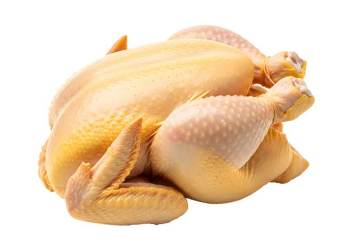 Raw chicken whole bird presented against a black background.