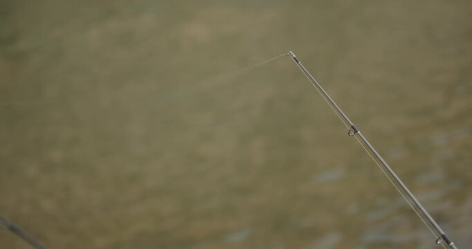 Fishing Pole Tip With Line