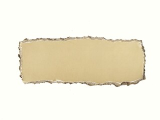 Brown torn cardboard piece isolated on white background 