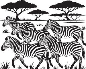Zebras run across savanna with acacia trees