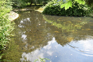Serene river flowing through lush greenery on a sunny day  