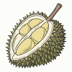 Exotic Durian Fruit Illustration Spiky Exterior and Creamy Interior in Artistic Detail